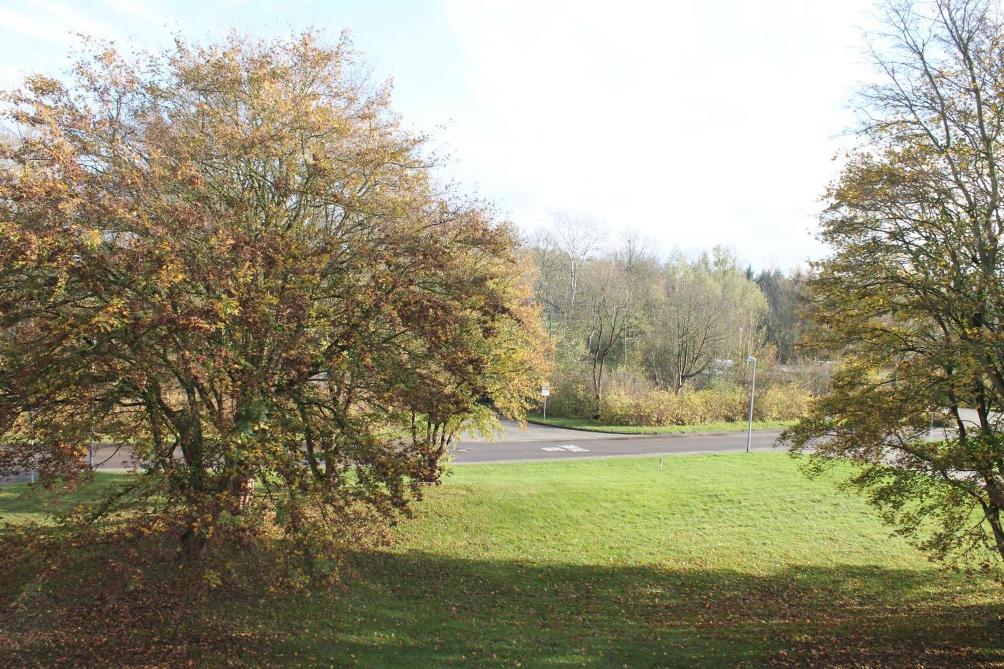 Ferienwohnung F239 Fuer 2-4 Personen An Der Ostsee Schonberg in Holstein ภายนอก รูปภาพ